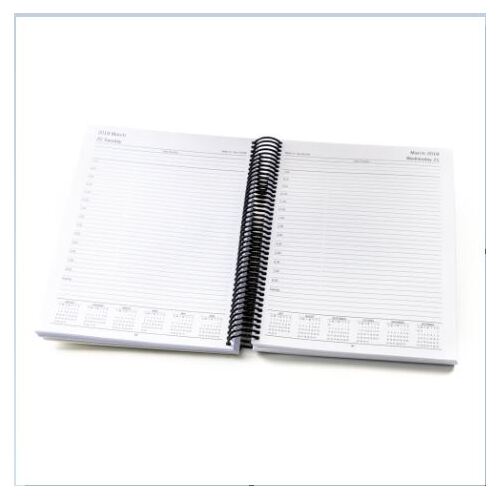 REIQ Day-To-Page Diary Insert 2025